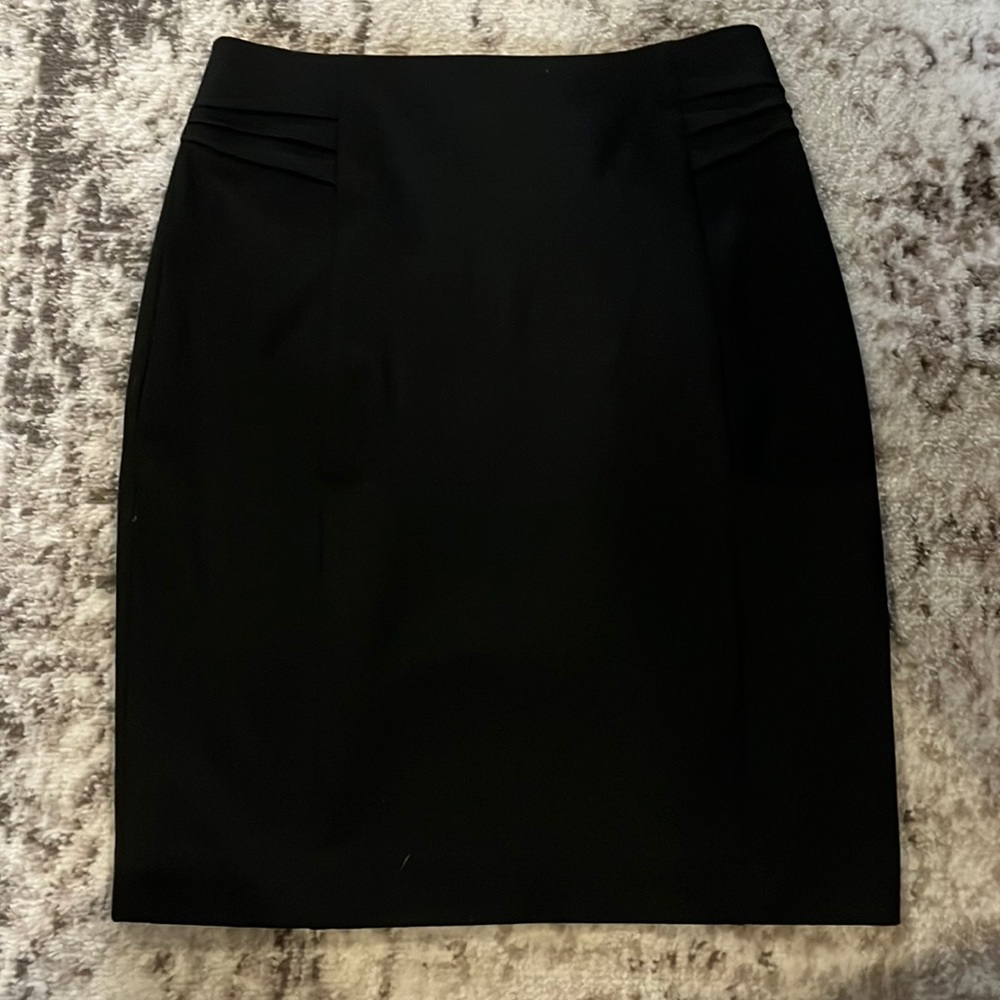 Express Dress Skirt